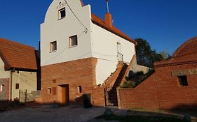 Apartmán ANNA s vinným sklepem Pouzdřany